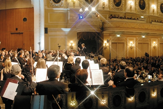 Государственный академический Большой симфонический оркестр имени П.И.Чайковского