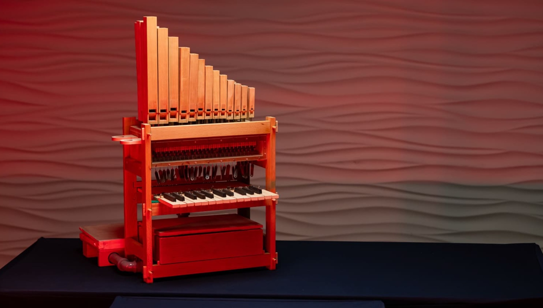 Собери орган. Познавательная мастерская