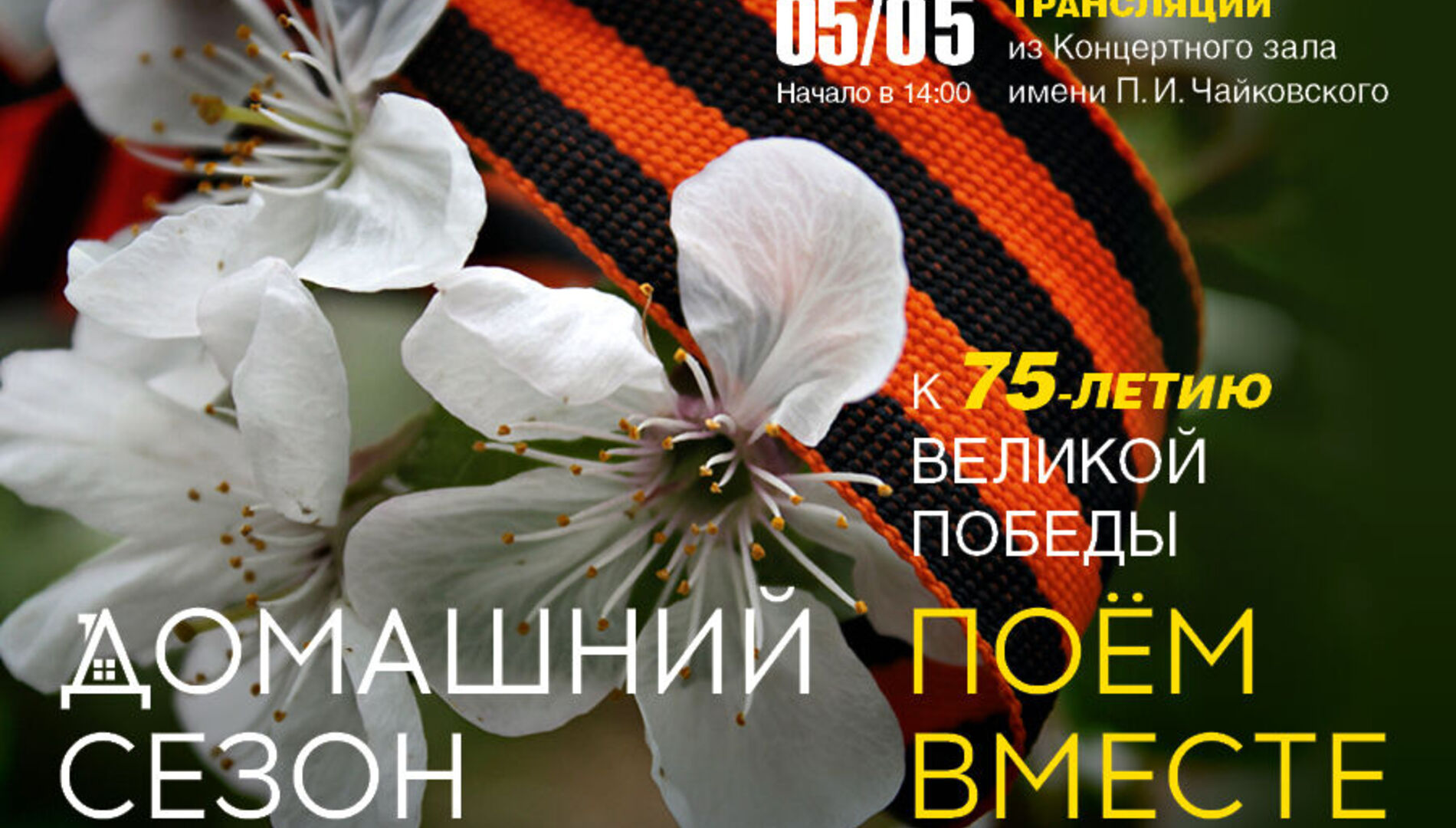 Домашний сезон. Трансляции из Концертного зала Чайковского.
Поём вместе. Песни военных лет