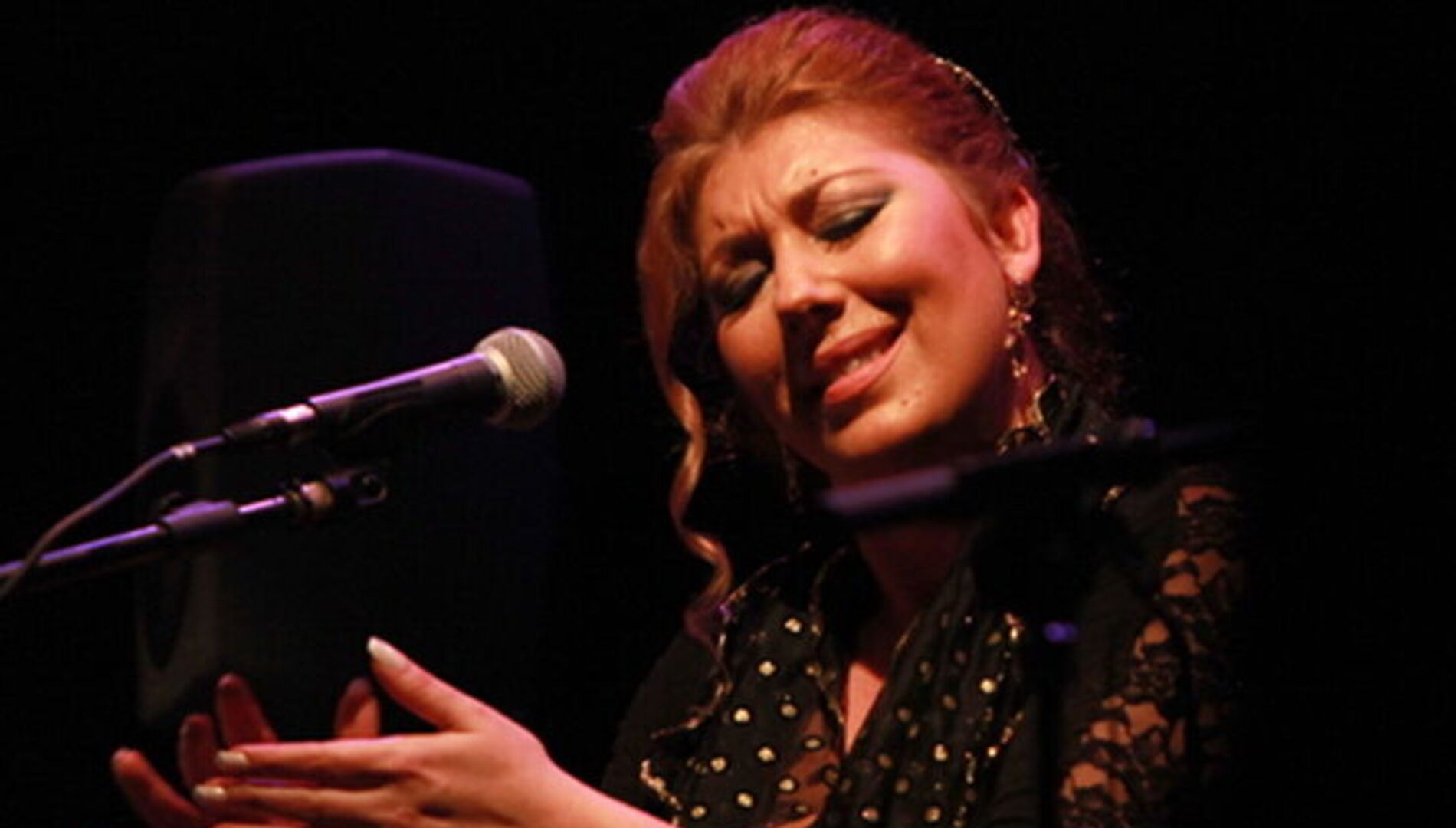 Фестиваль «Виртуозы гитары».
 Хосе Антонио Эскобар,
Фламенко-трио: Антонио Рей,
 Мара Рей, Хосе Тривиньо.
Музыка Испании и Латинской Америки