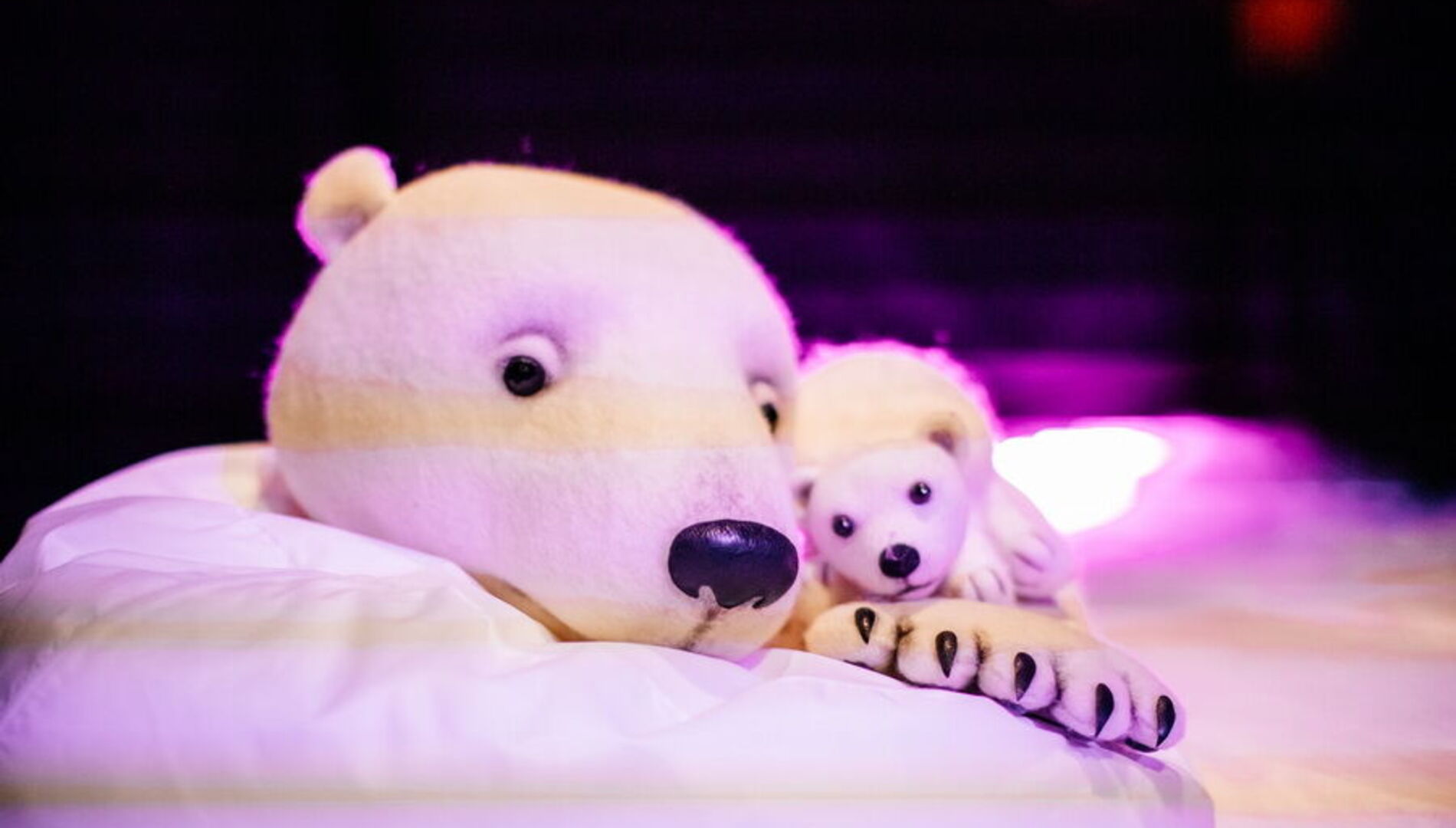 Северное сияние
Музыкальный интерактивный спектакль 