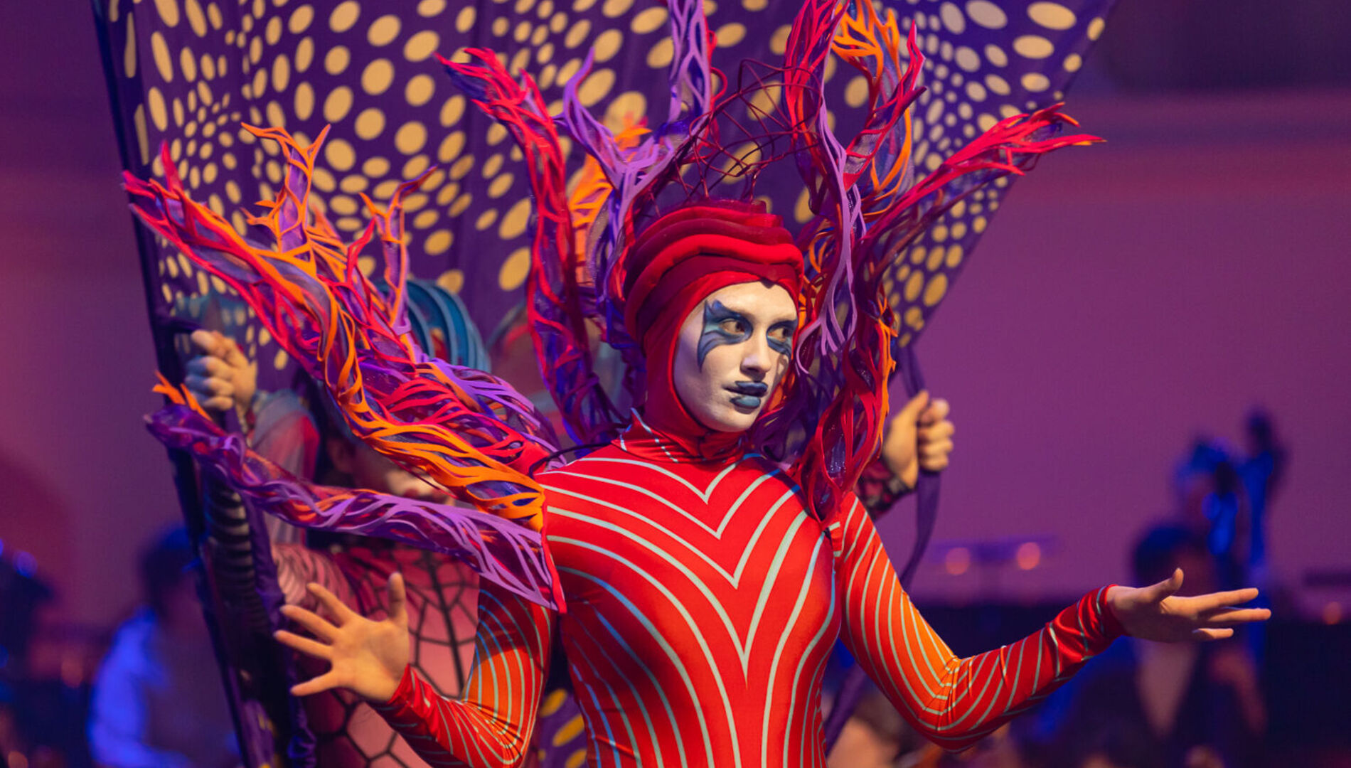 «Пилигримы» 4+
Концерт-фантазия для актёров, акробатов, воздушных гимнастов 
 и симфонического оркестра