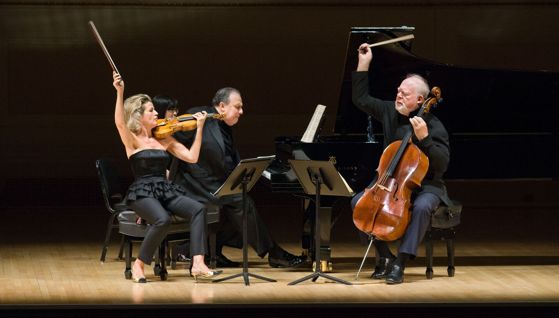 Открытый фестиваль искусств
«Черешневый лес».
Анне-Софи Муттер,
Ефим Бронфман,
Линн Харрелл