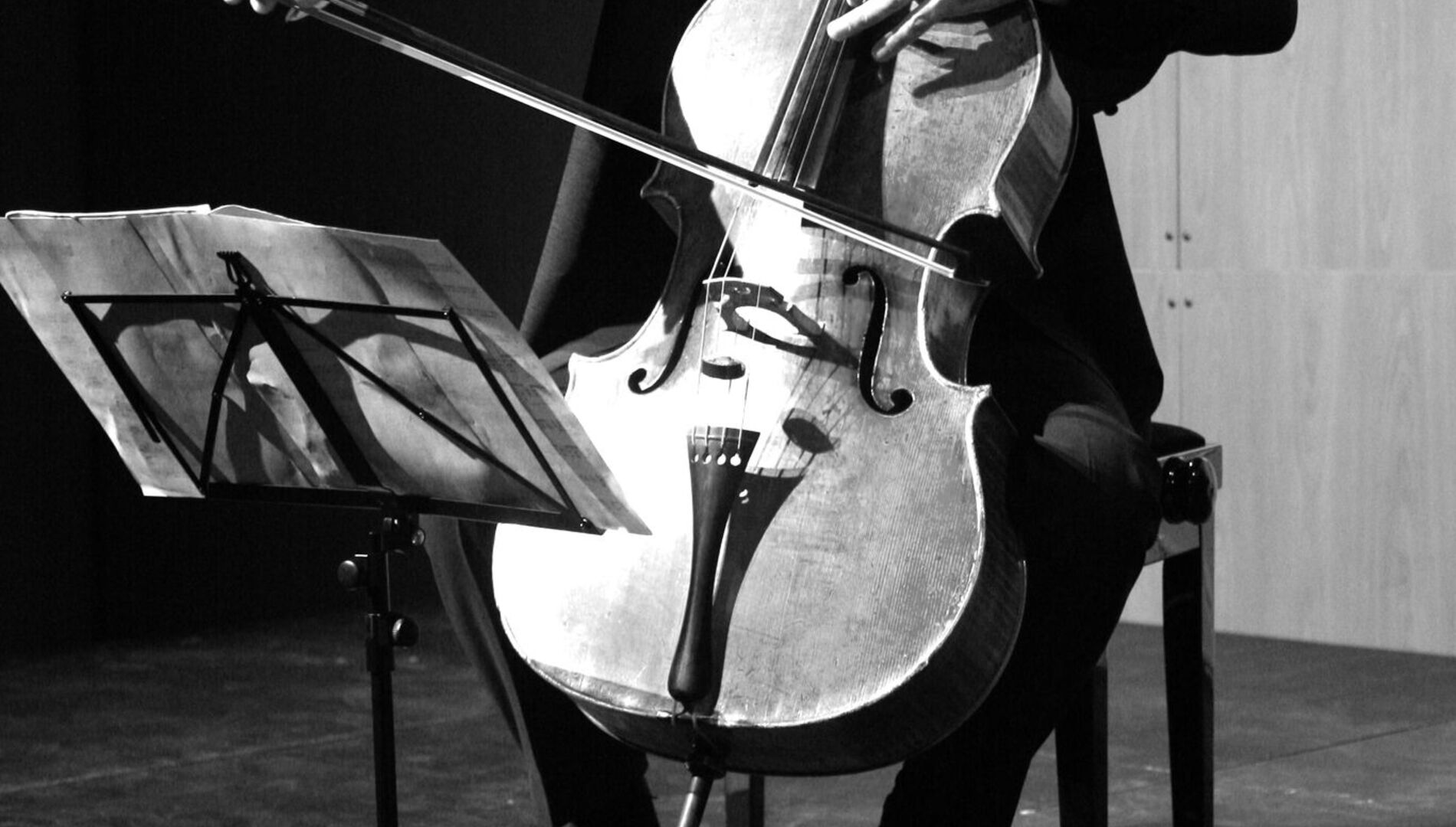 «Musica Viva», Александр Рудин, 
Энтони Марвуд