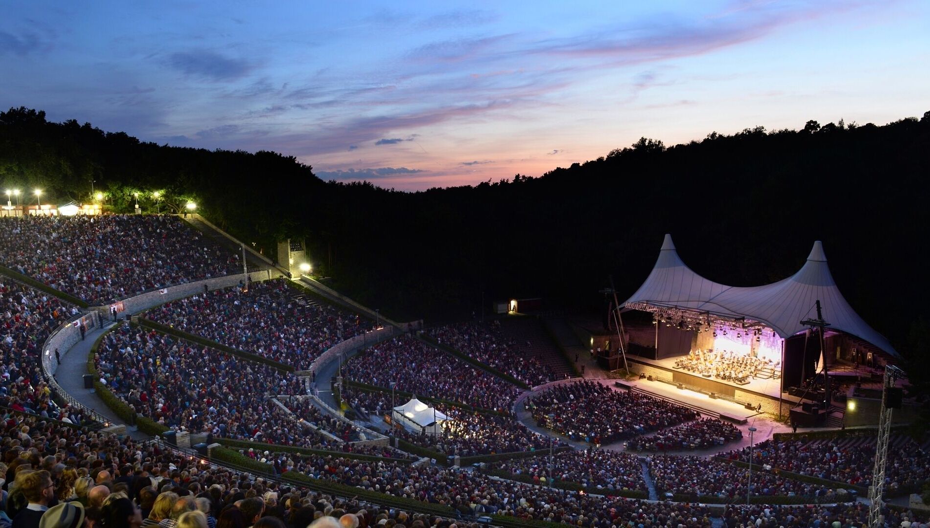 Вальдбюне: Ритмы ночи