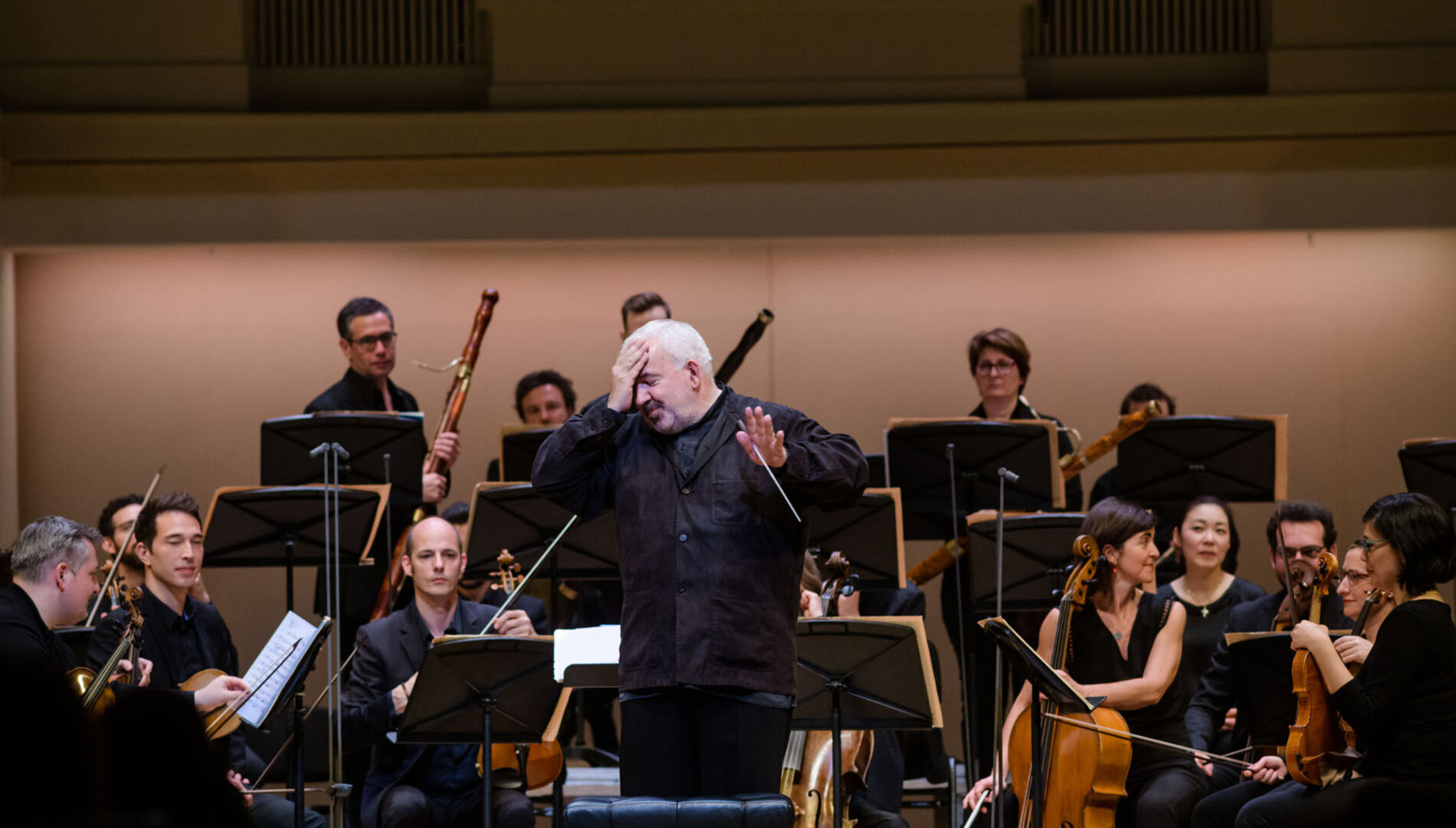 Ж.-Ф. Рамо. «Воображаемая симфония с голосом». 
 Оркестр «Музыканты Лувра»
