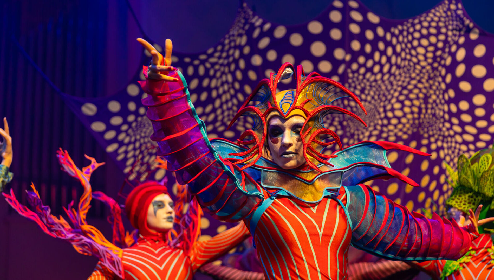 «Пилигримы» 4+
Концерт-фантазия для актёров, акробатов, воздушных гимнастов 
 и симфонического оркестра