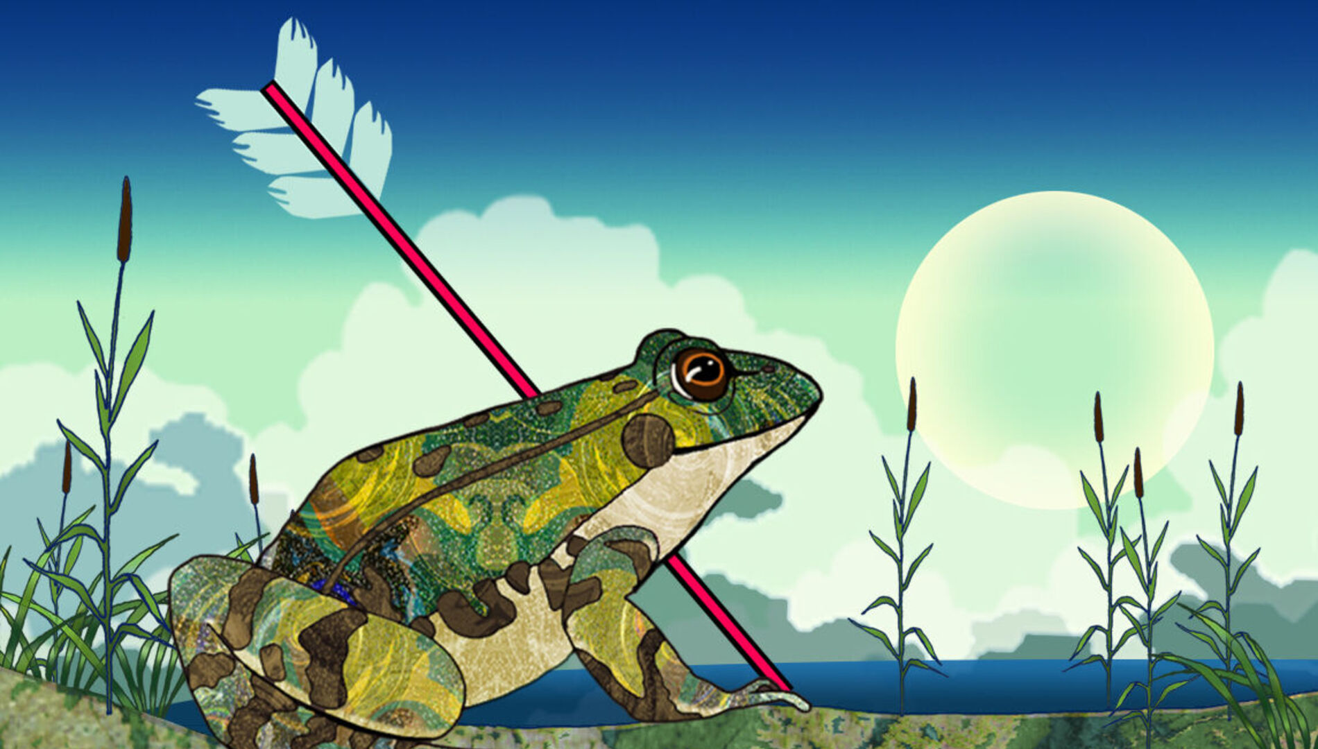 «Василиса Прекрасная».
Дневные симфонические концерты для детей