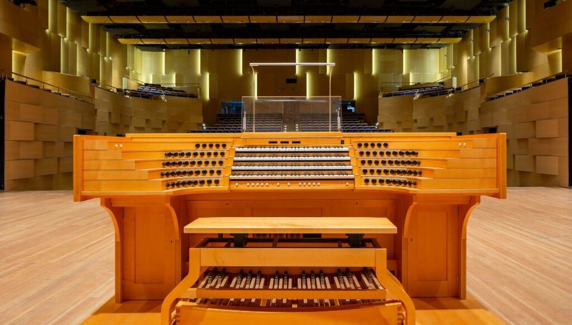 Открытие органа в «Филармонии-2» 
 Любовь Шишханова