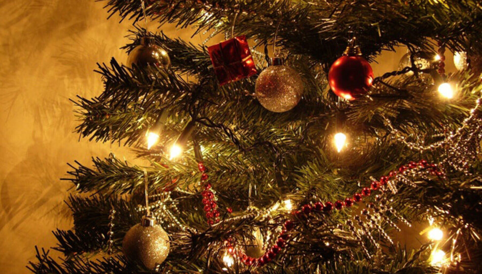 Филармонические ёлки. Премьера.
«Сказки с оркестром»