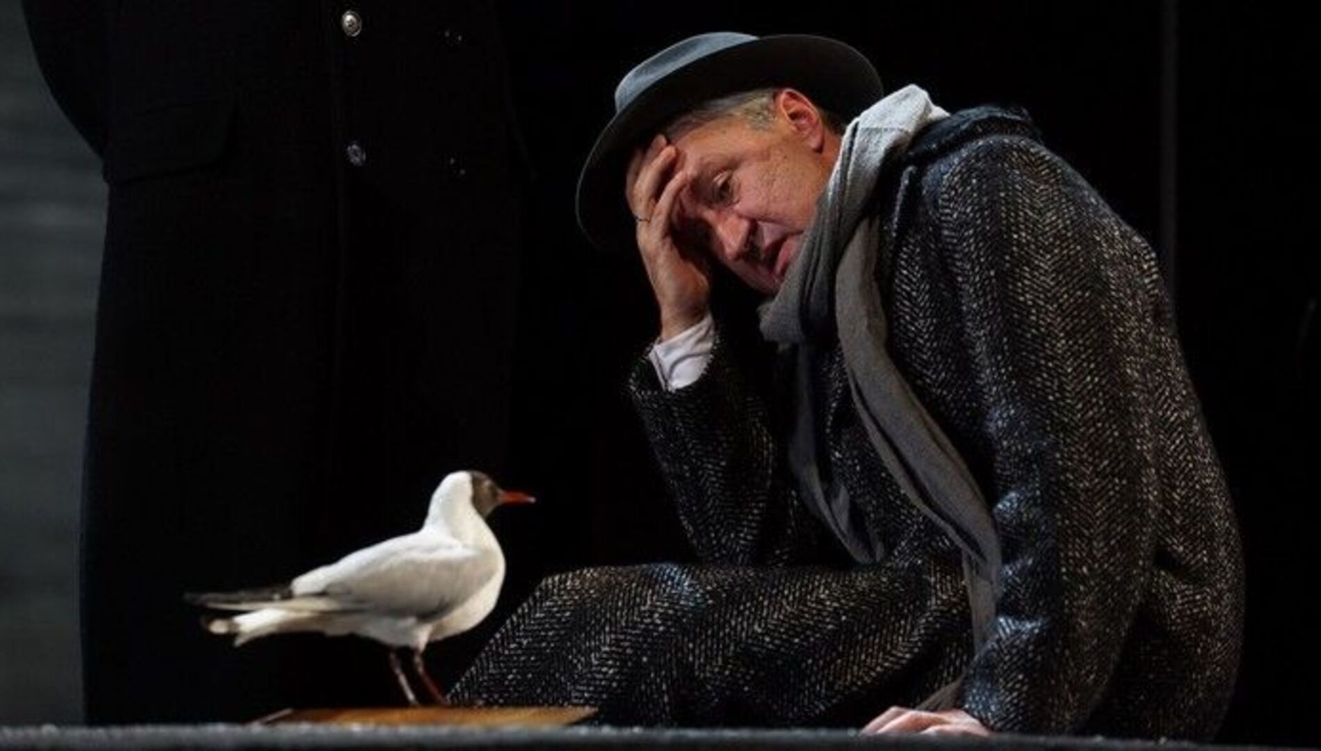 Премьера!
Антон Чехов «Чайка»
Малый драматический театр – Театр Европы