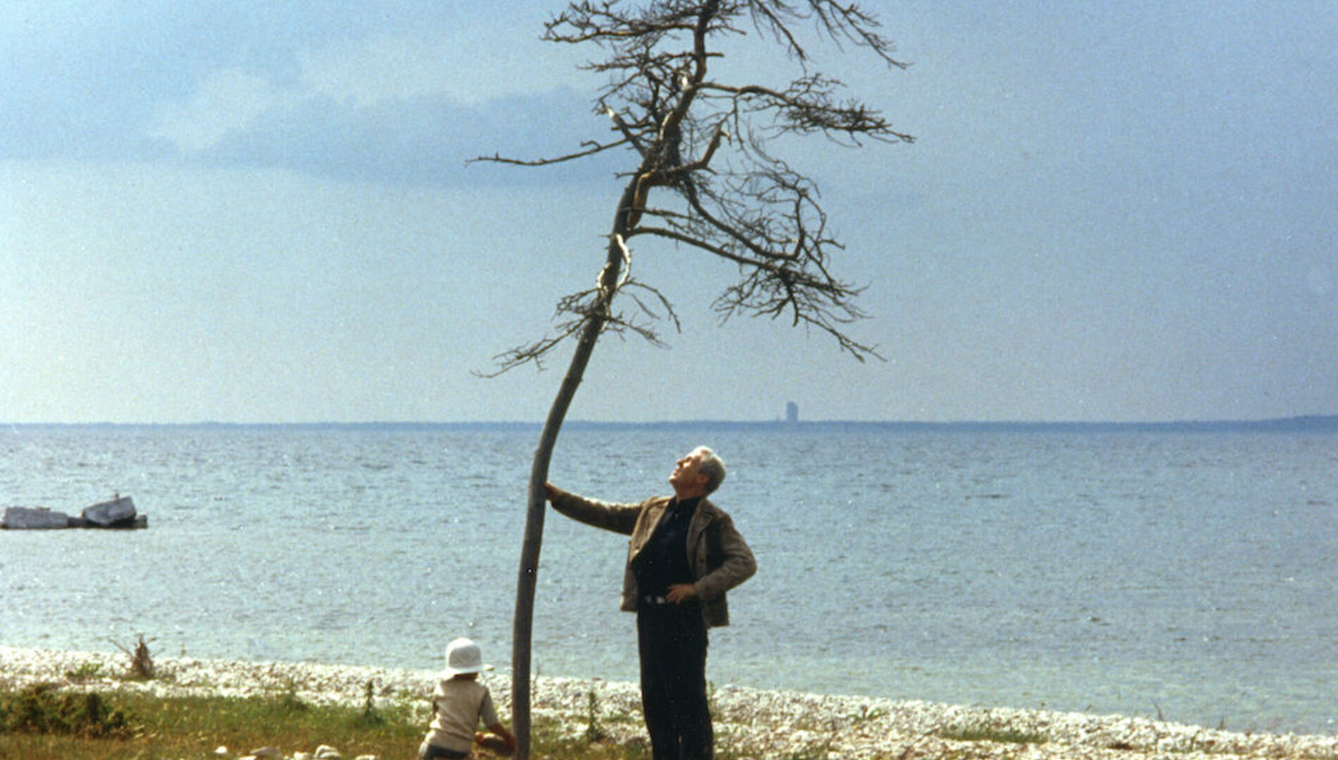 Гран-при Каннского кинофестиваля 1986 года
Андрей Тарковский «Жертвоприношение»