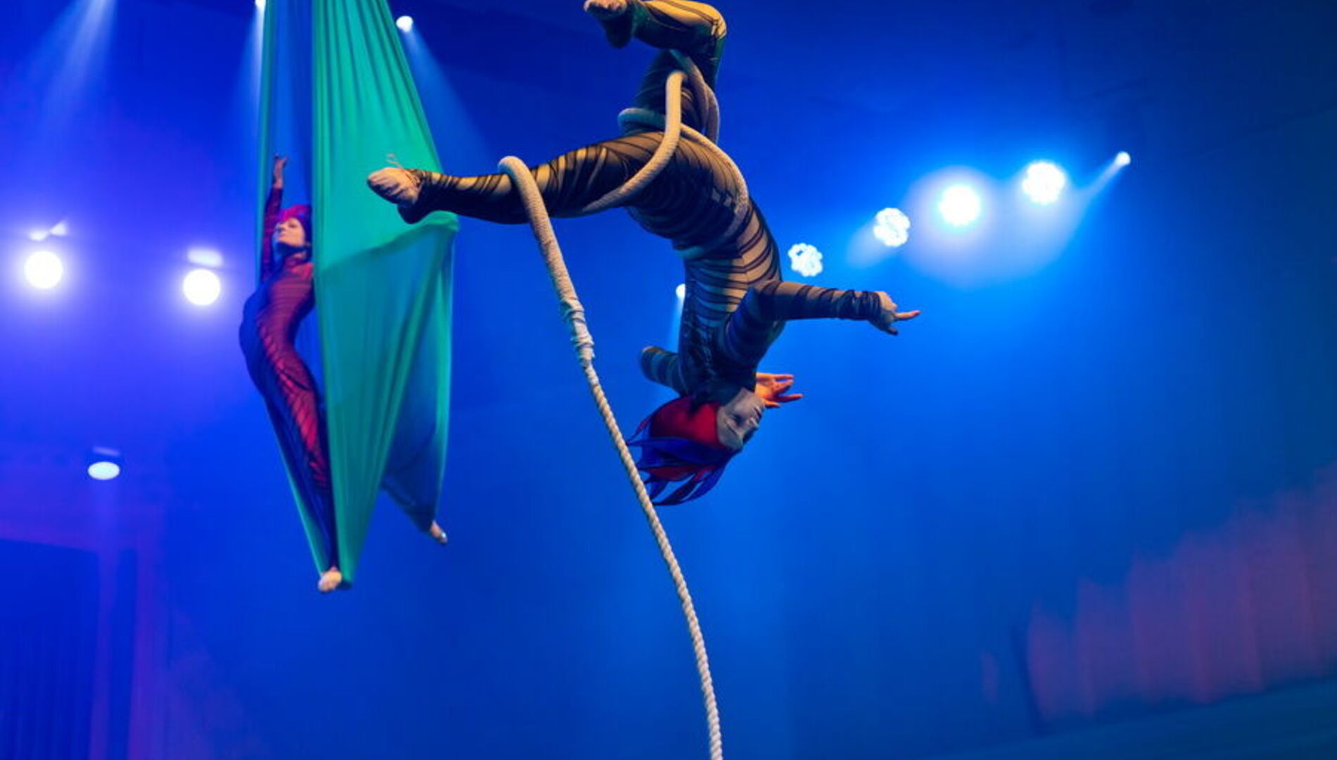 Пилигримы. Путешествие с оркестром