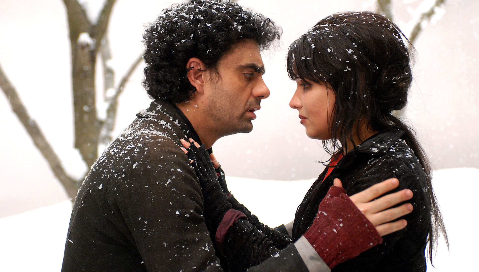 Анна Нетребко, Роландо Виллазон
в фильме-опере «Богема»