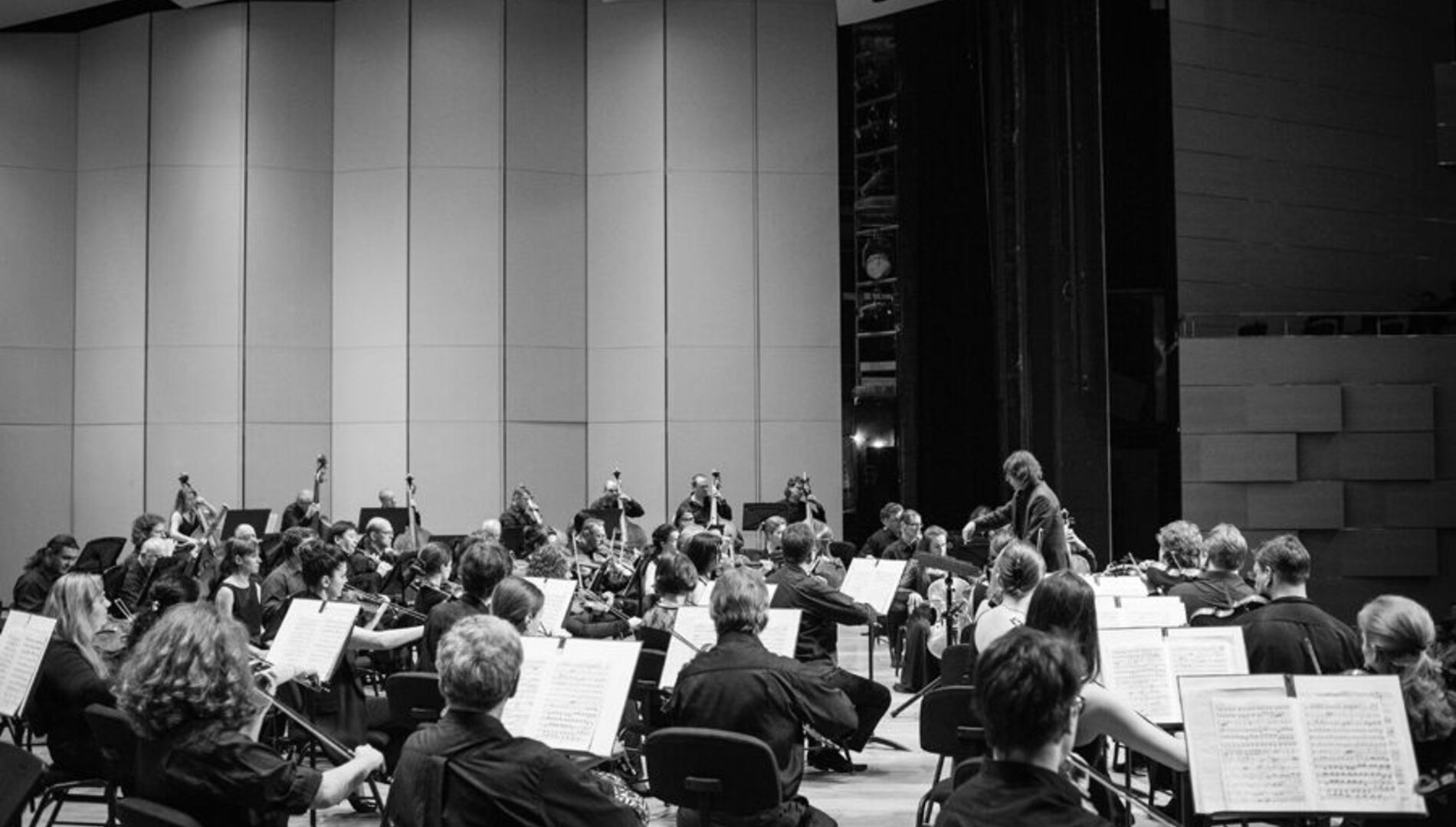 «Новая Россия», Юрий Башмет,
Дмитрий Маслеев