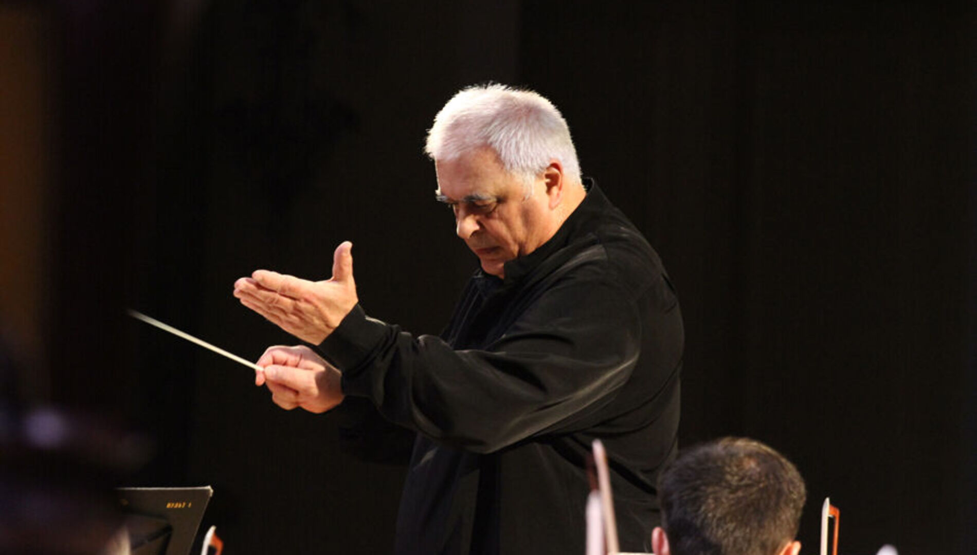 Музыка бури и натиска