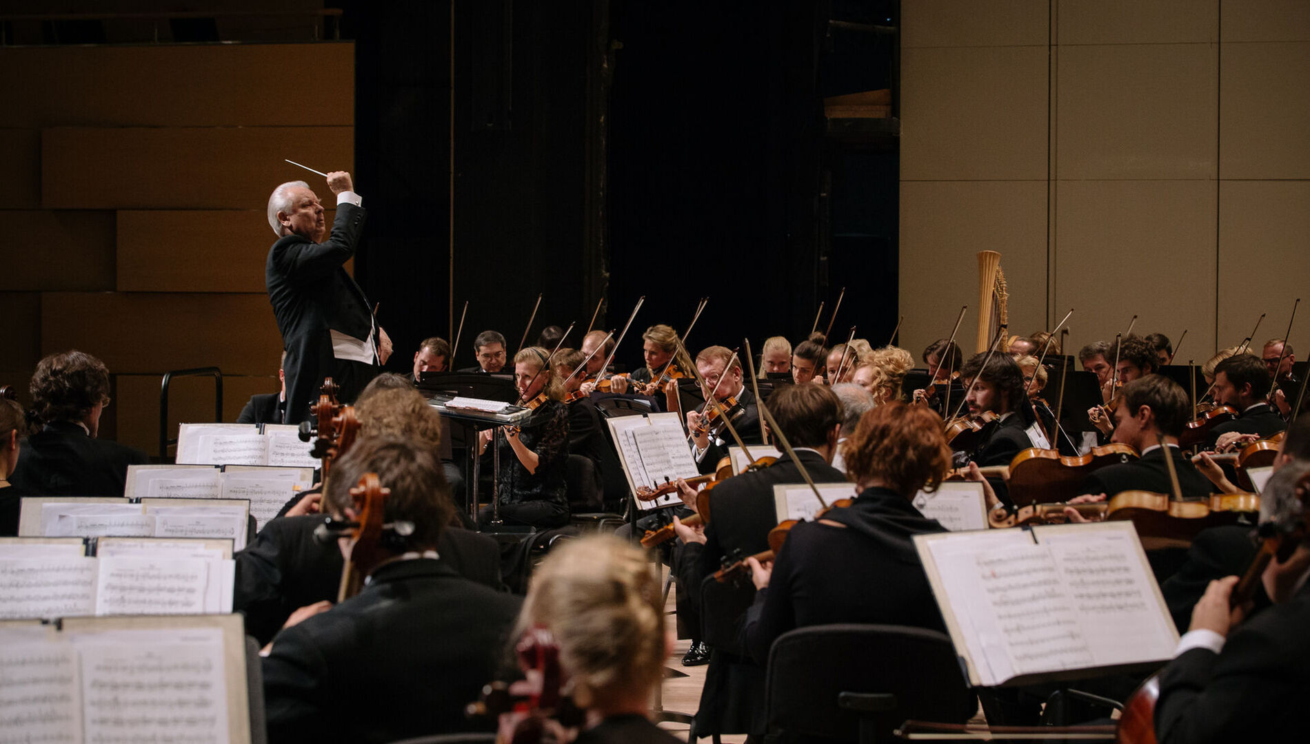 Летние концерты популярной
классической музыки.
Академический симфонический оркестр Московской филармонии,
Дмитрий Шишкин, Юрий Симонов