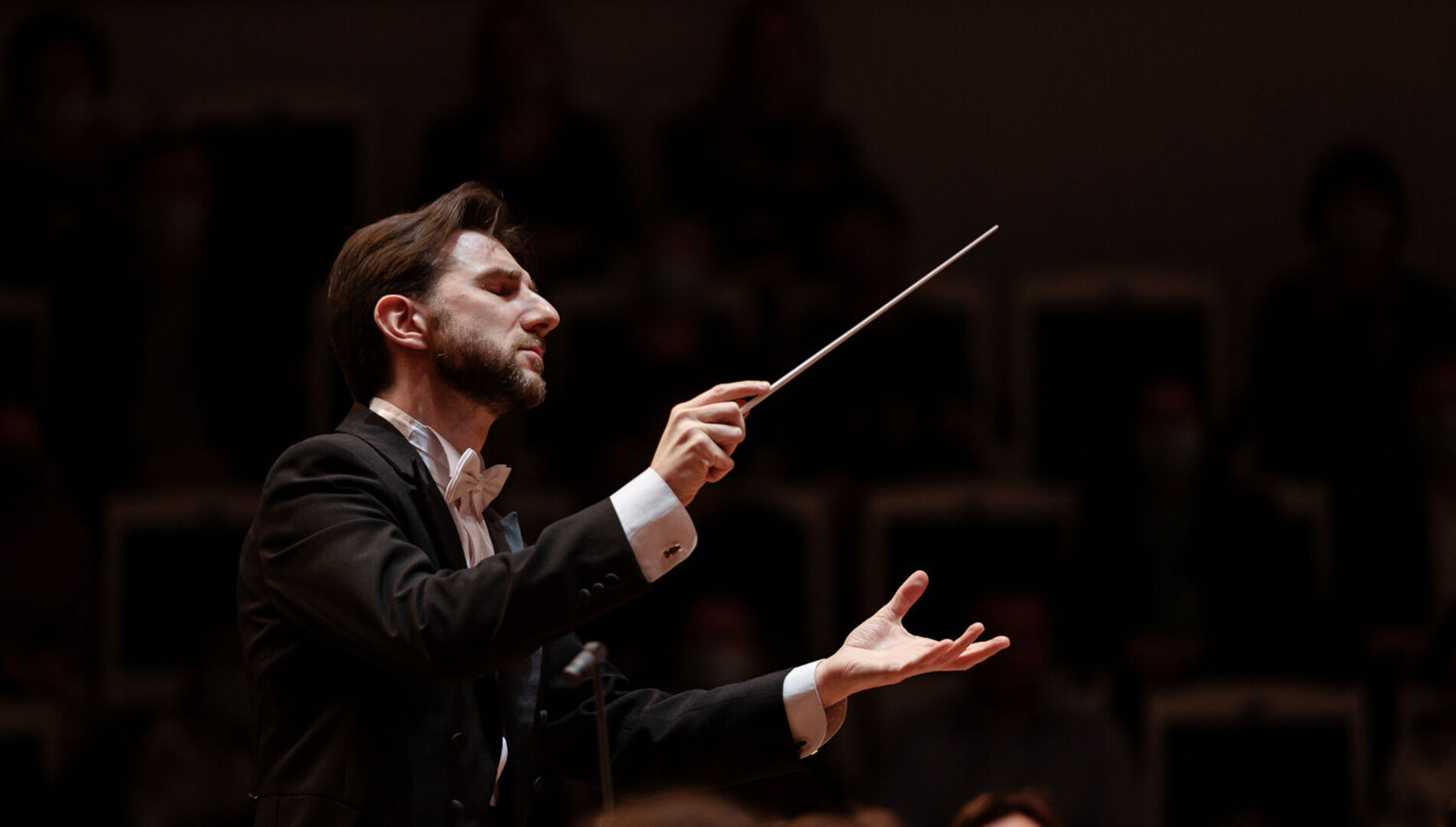 Леонид Железный,
Тимофей Владимиров