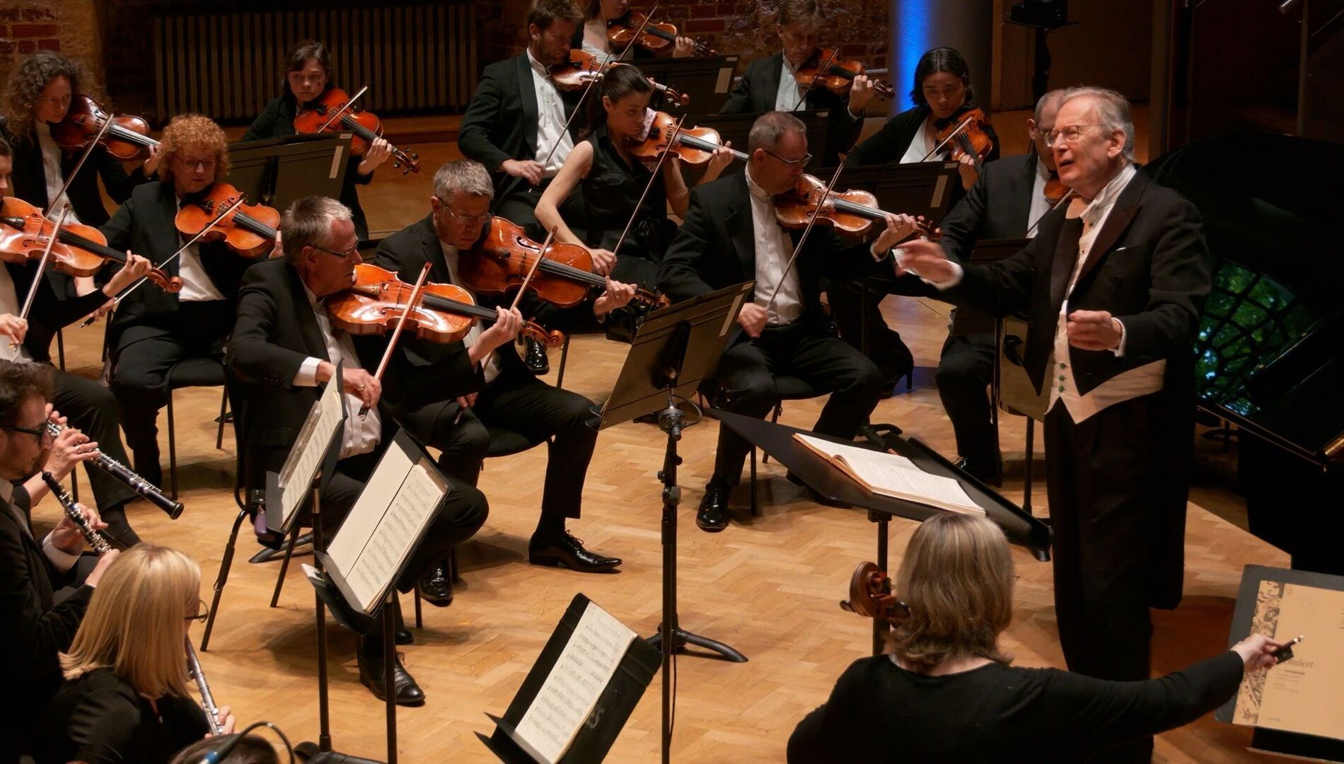 Премьера!
Концерт в кино
Мария Жуан Пиреш, Джон Элиот Гардинер