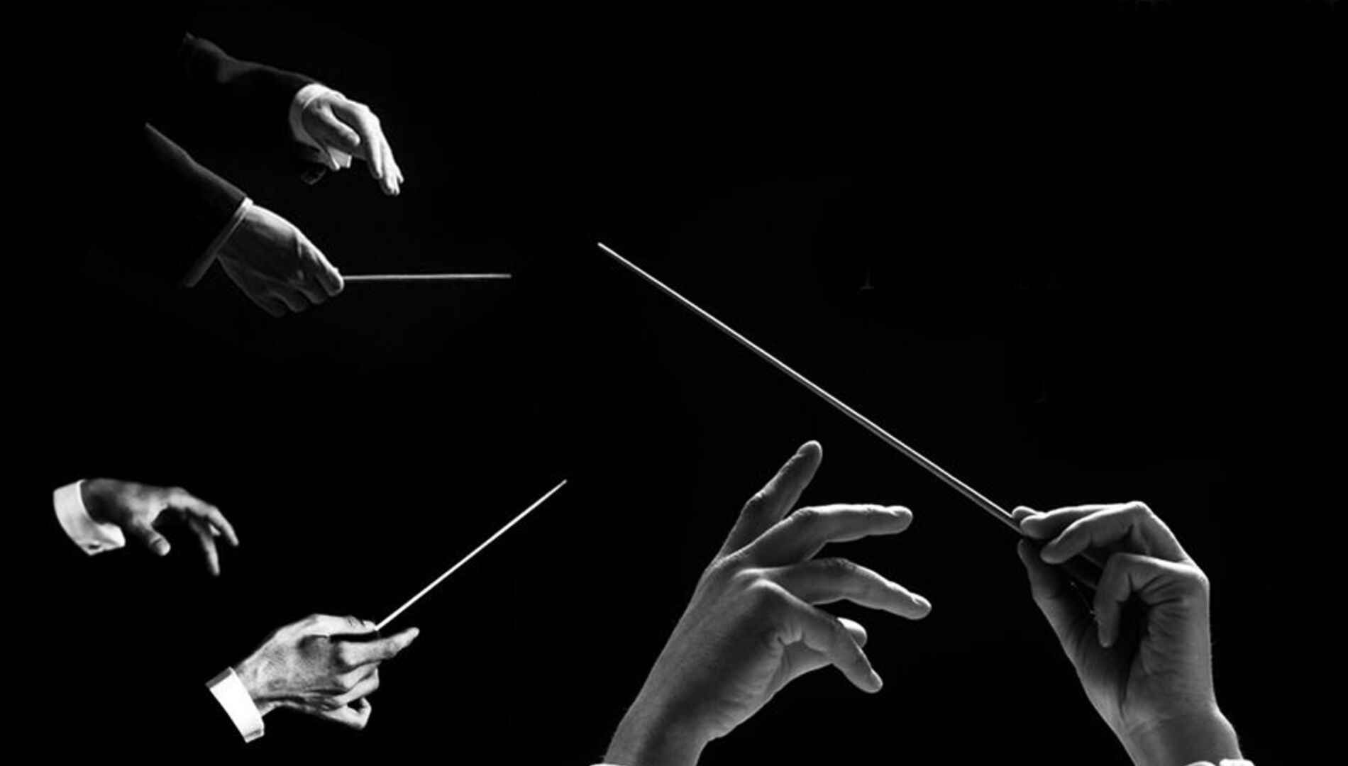 Заключительный концерт
Пятого Всероссийского Мастер-курса
для дирижёров профессора Ю. И. Симонова