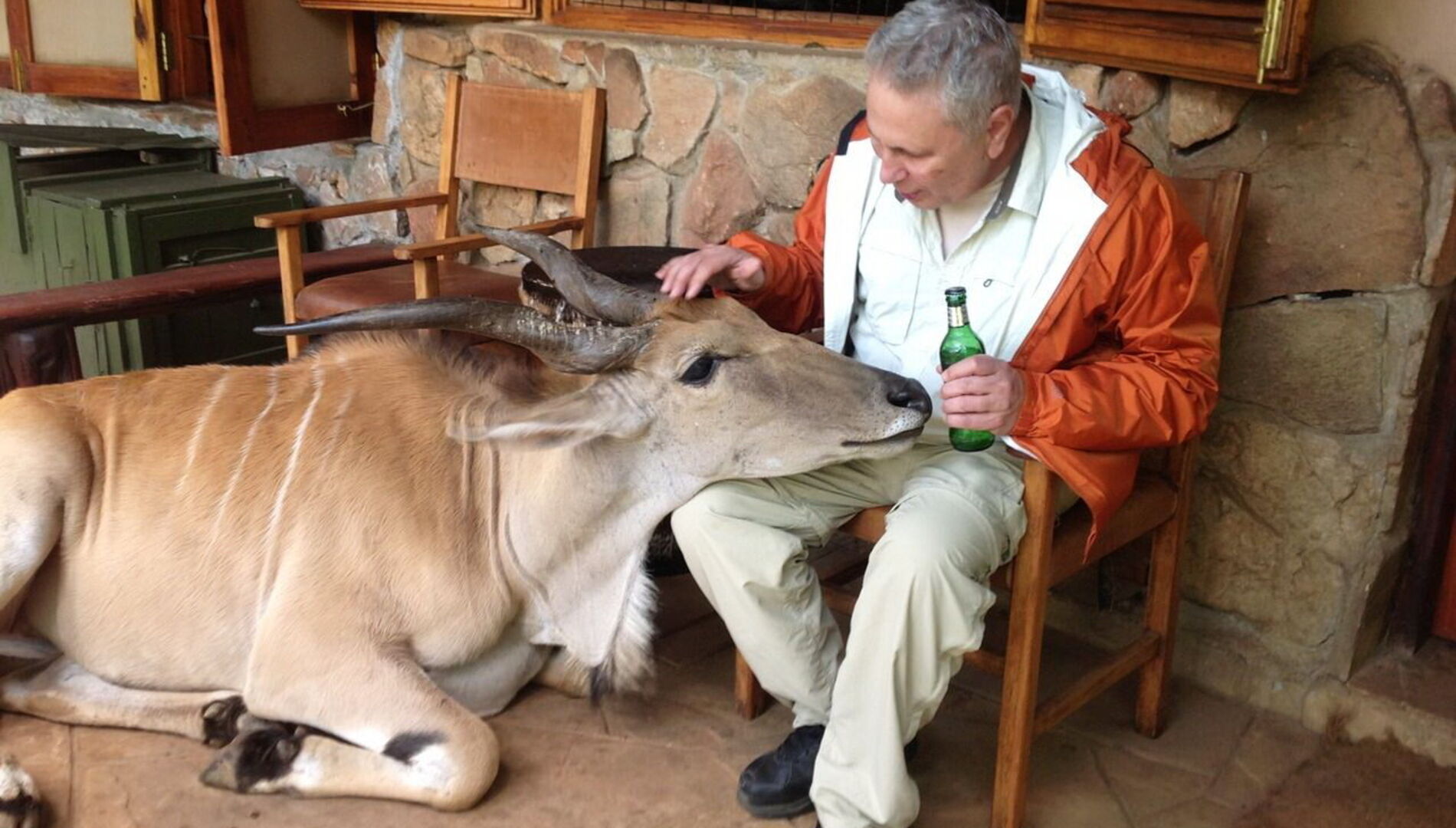 К музыке.
Пятикратный обладатель
премии «Грэмми»,
лауреат премии «Оскар»
Джон Корильяно. Юбилейный концерт
 в честь 80-летия композитора