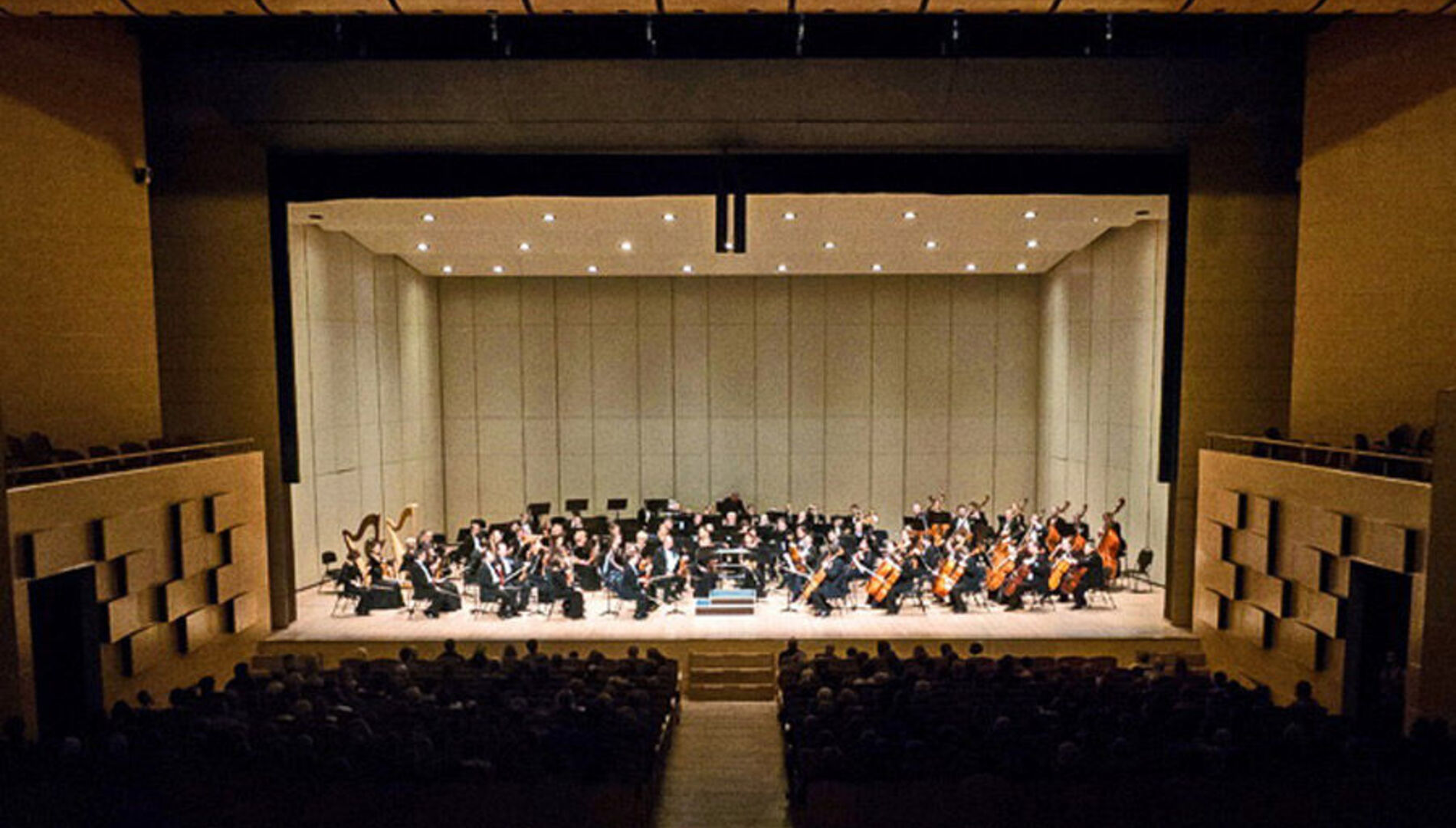 Павел Милюков,
Александр Бузлов,
Оркестр Московской филармонии,
Сергей Ролдугин