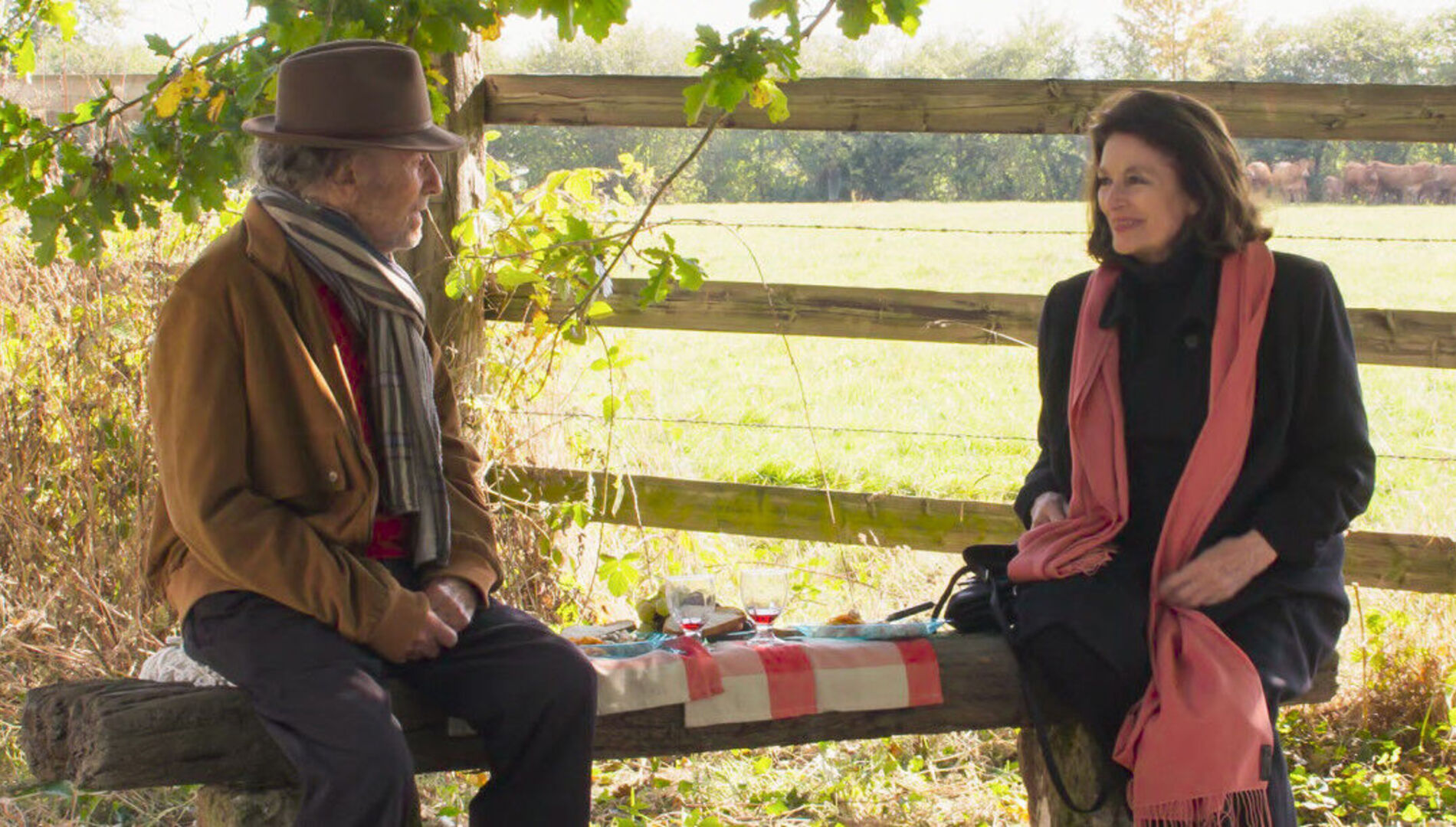 Жан-Луи Трентиньян и Анук Эме
в фильме Клода Лелуша
«Мужчина и Женщина. Лучшие годы»