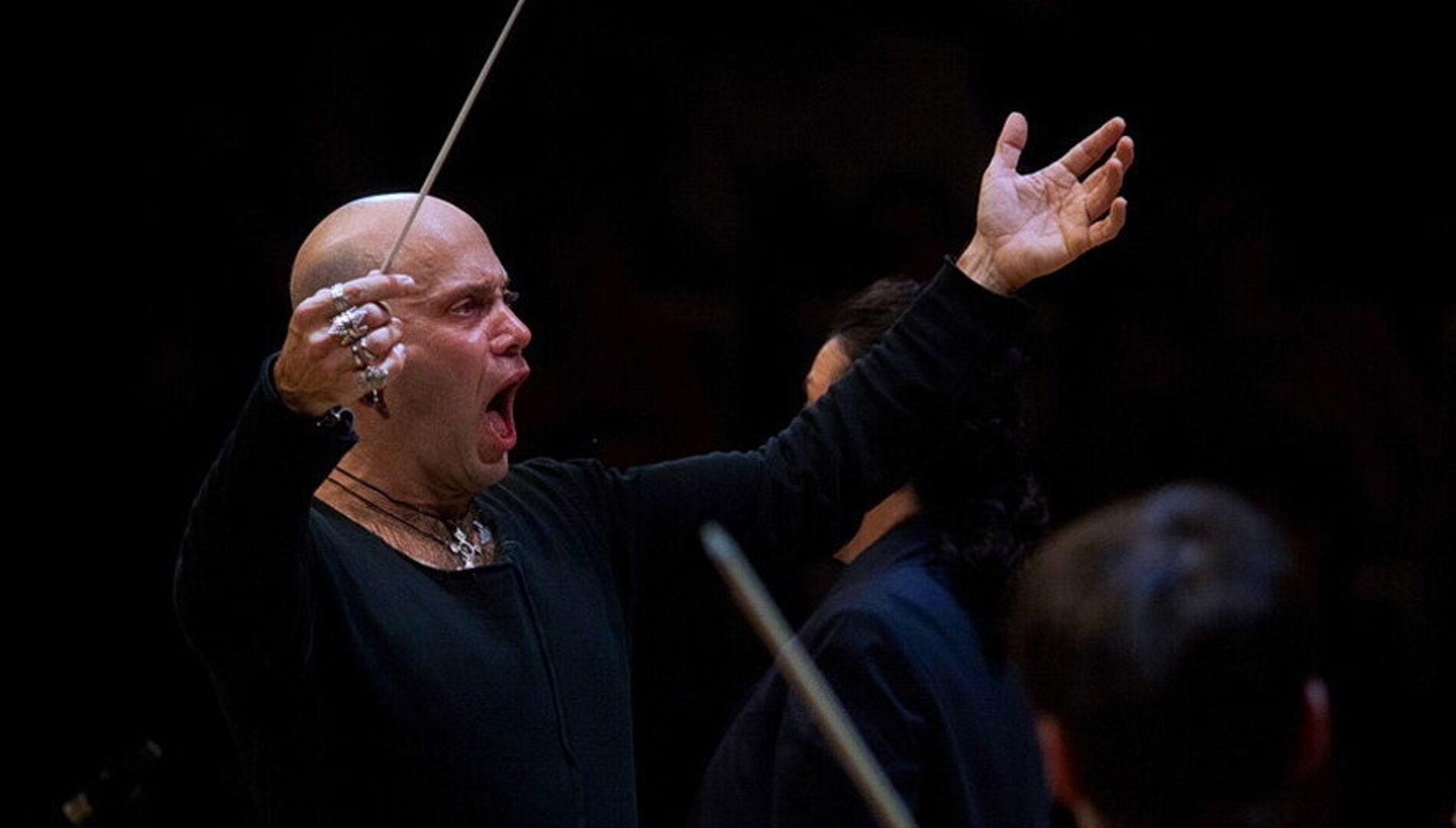 Стефано Монтанари