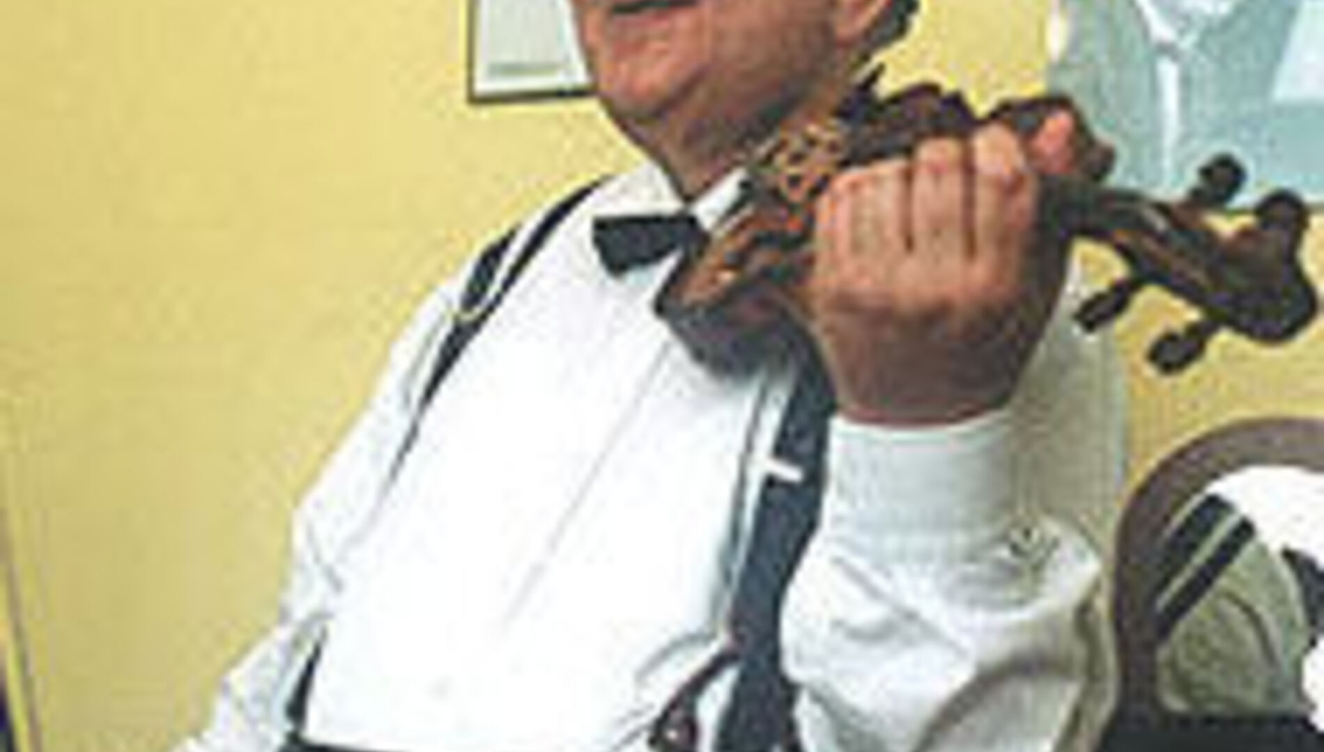 Виктор Пикайзен