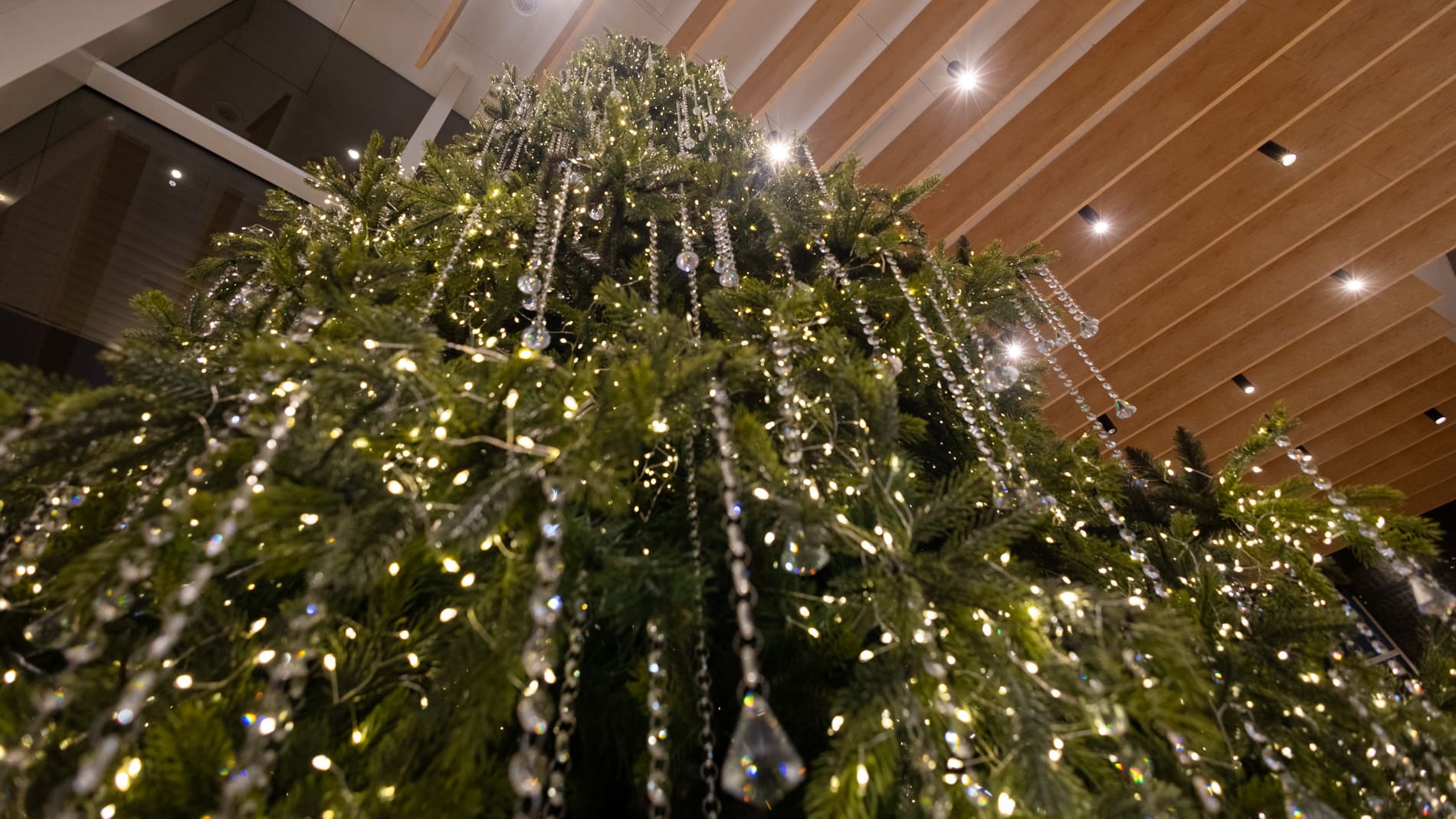 Описание изображения